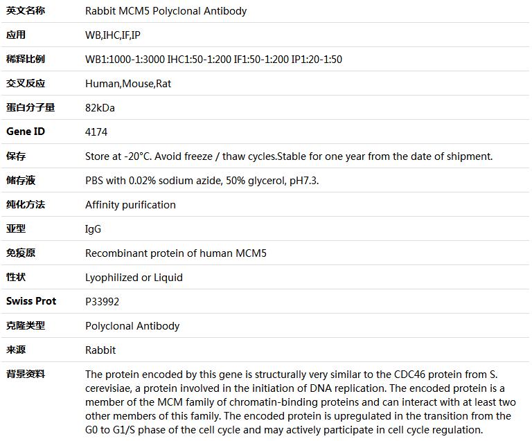 MCM5 Antibody,索莱宝,K004060P-100ul