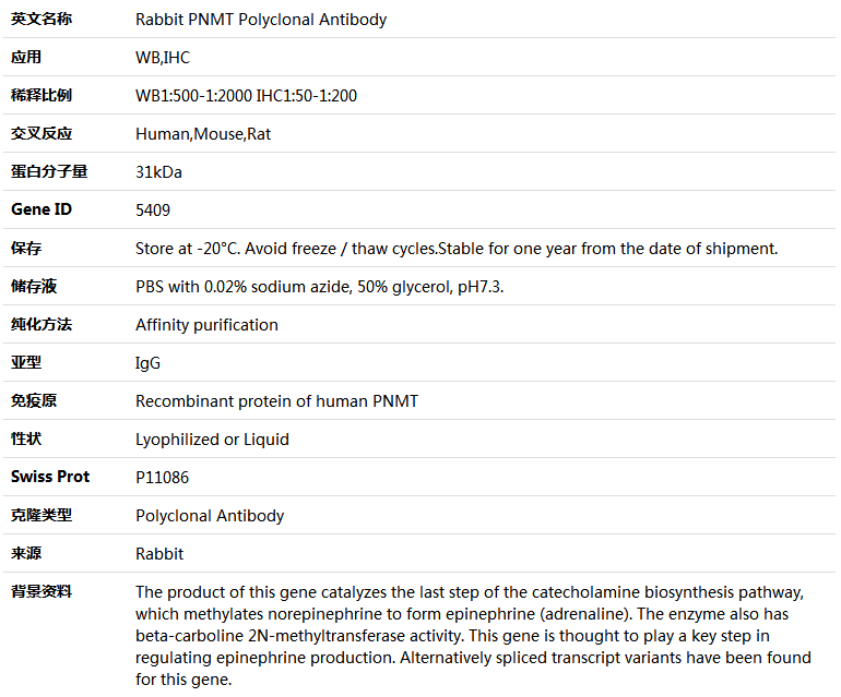 PNMT Antibody,索莱宝,K004057P-100ul