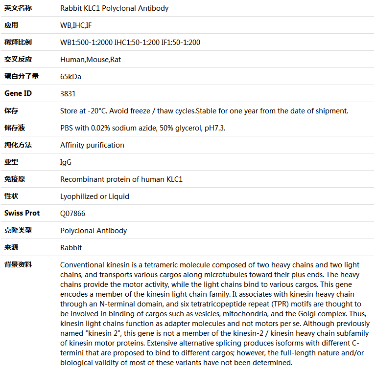 KLC1 Antibody,索莱宝,K004056P-100ul