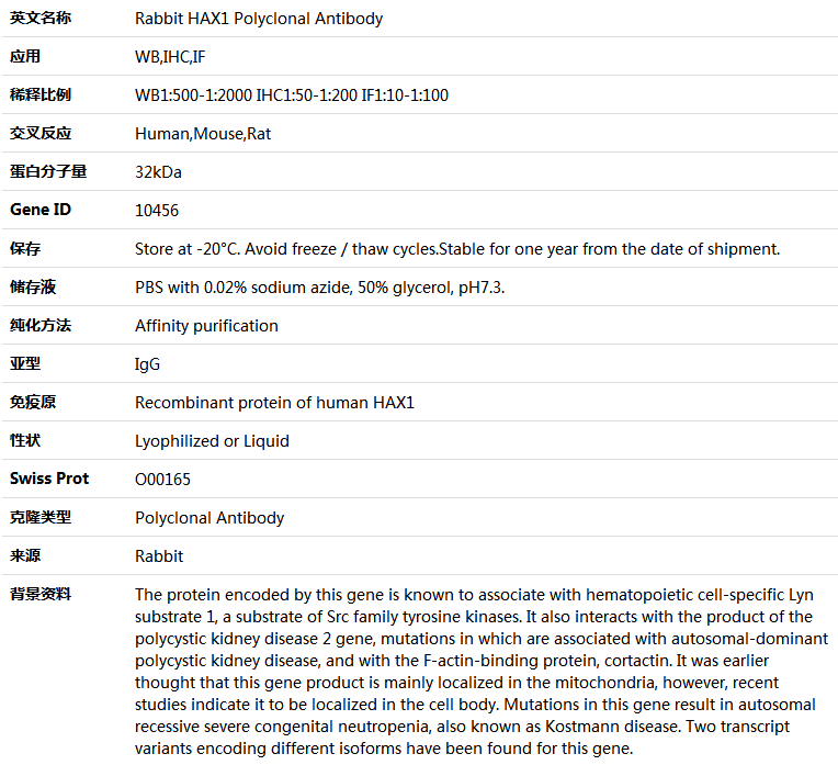 HAX1 Antibody,索莱宝,K004055P-50ul