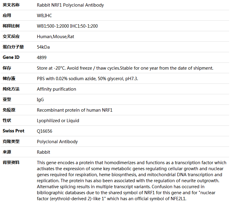 NRF1 Antibody,索莱宝,K004052P-50ul