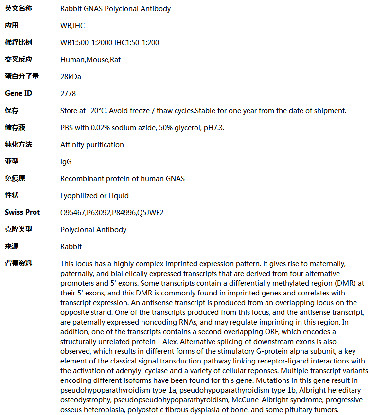 GNAS Antibody,索莱宝,K004051P-50ul
