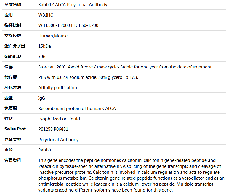 CALCA Antibody,索莱宝,K004049P-50ul