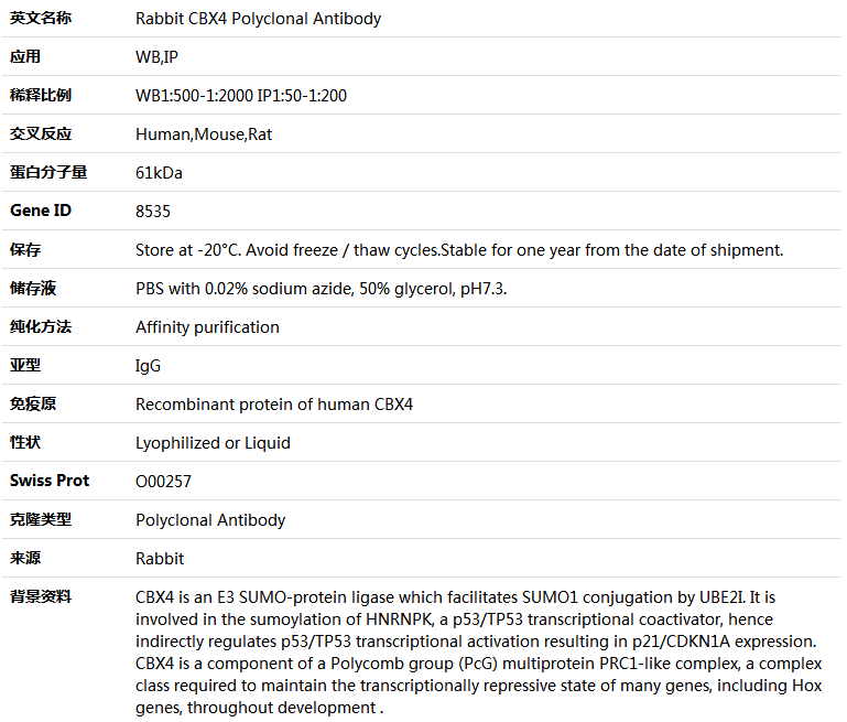 CBX4 Antibody,索莱宝,K004048P-100ul