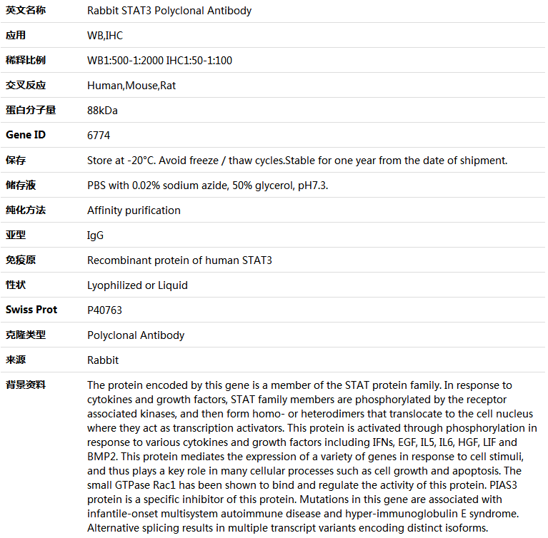 STAT3 Antibody,索莱宝,K004046P-50ul