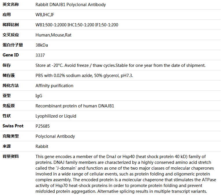 DNAJB1 Antibody,索莱宝,K004042P-100ul