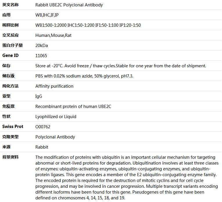 UBE2C Antibody,索莱宝,K004039P-100ul