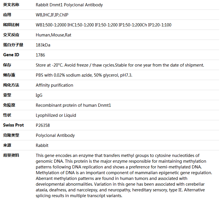 Dnmt1 Antibody,索莱宝,K004038P-30ul