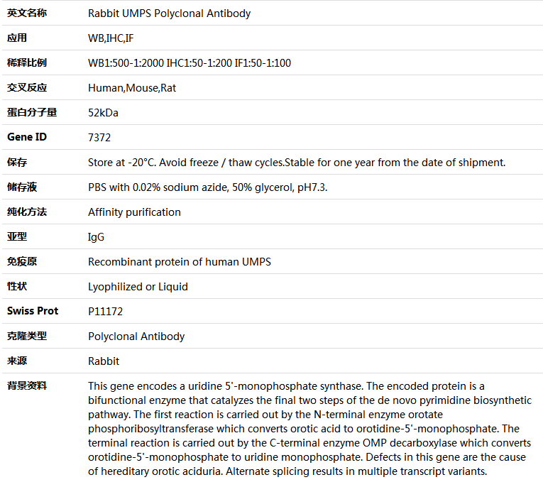 UMPS Antibody,索莱宝,K004036P-100ul