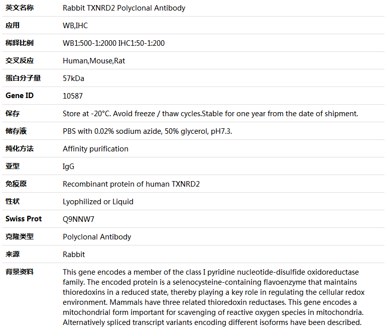 TXNRD2 Antibody,索莱宝,K004034P-100ul