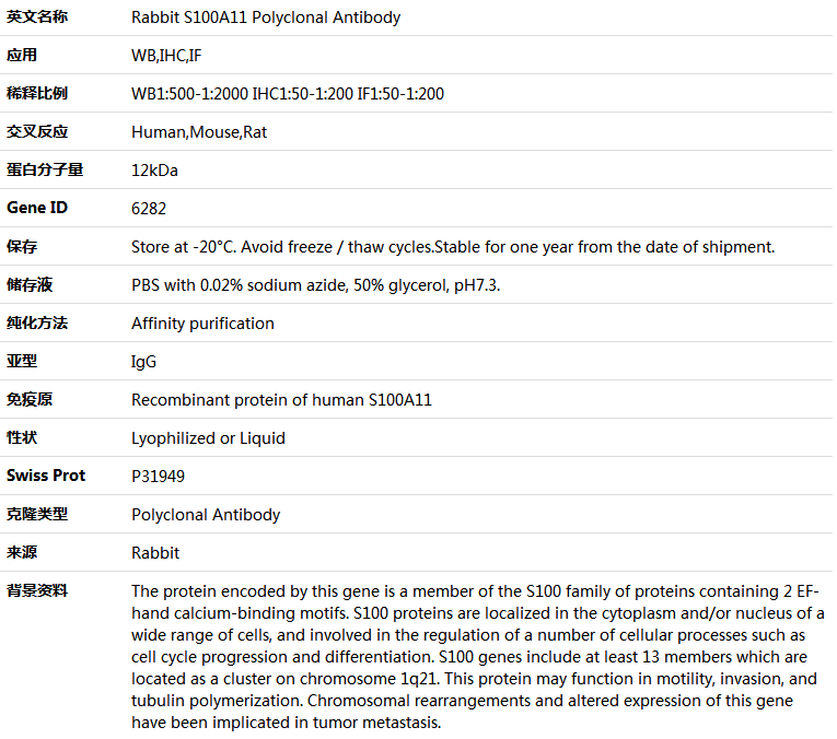 S100A11 Antibody,索莱宝,K004031P-50ul