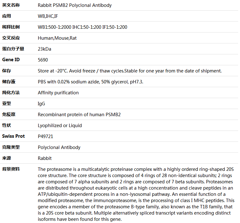PSMB2 Antibody,索莱宝,K004028P-50ul