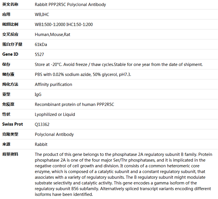 PPP2R5C Antibody,索莱宝,K004026P-30ul