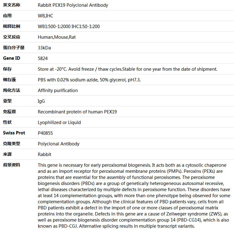 PEX19 Antibody,索莱宝,K004023P-100ul