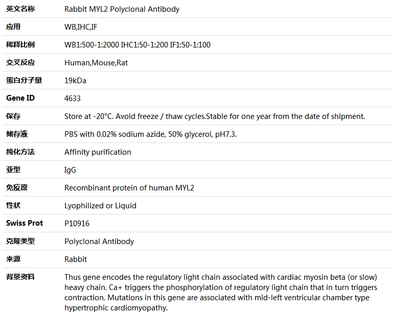 MYL2 Antibody,索莱宝,K004020P-50ul