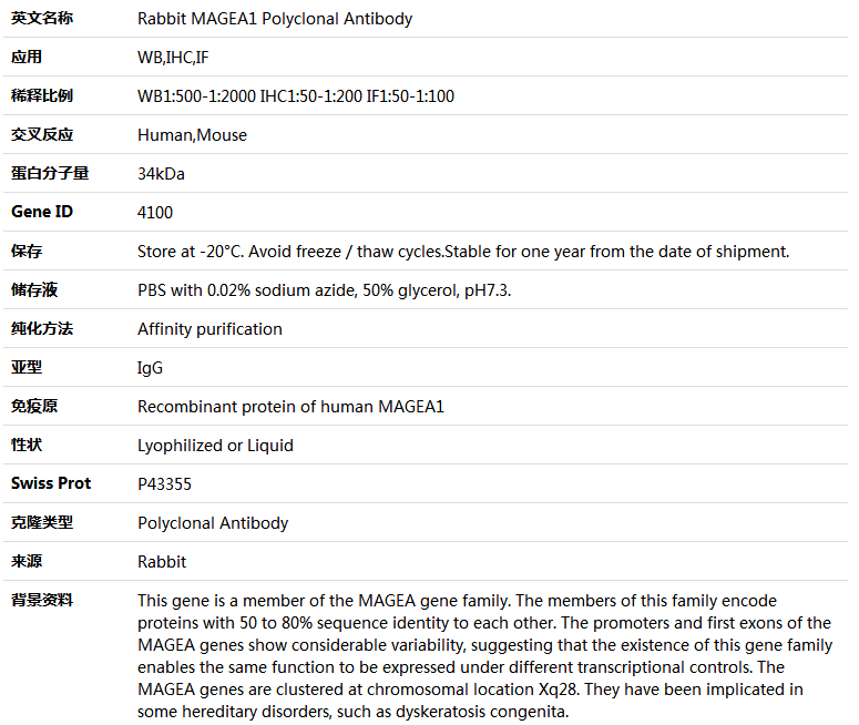 MAGEA1 Antibody,索莱宝,K004018P-50ul