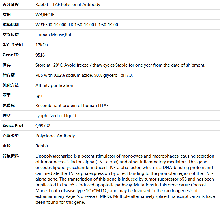 LITAF Antibody,索莱宝,K004017P-50ul