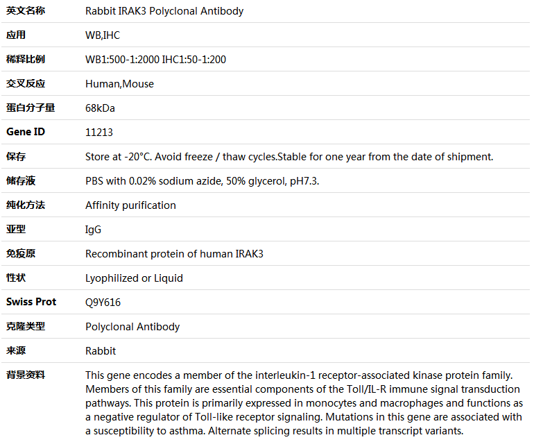 IRAK3 Antibody,索莱宝,K004016P-100ul