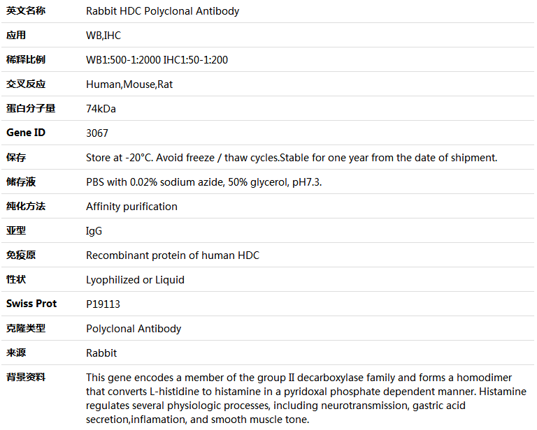 HDC Antibody,索莱宝,K004014P-100ul