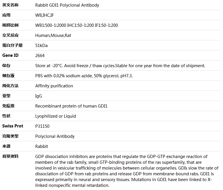 GDI1 Antibody,索莱宝,K004011P-100ul