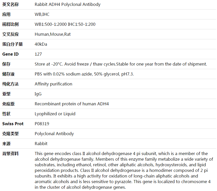 ADH4 Antibody,索莱宝,K004005P-50ul