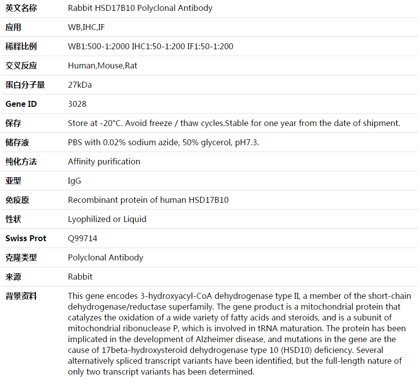 HSD17B10 Antibody,索莱宝,K004001P-50ul