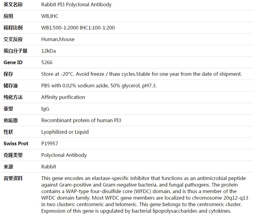 PI3 Antibody,索莱宝,K003996P-100ul