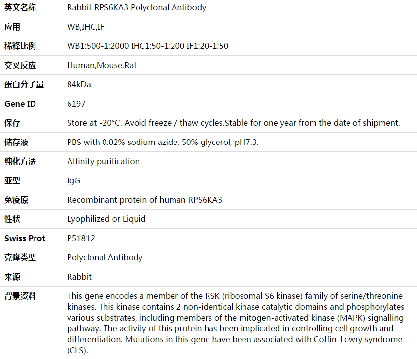 RPS6KA3 Antibody,索莱宝,K003992P-100ul