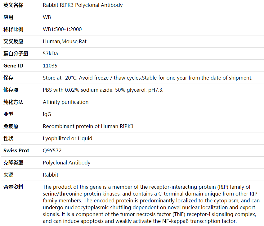 RIPK3 Antibody,索莱宝,K003990P-30ul