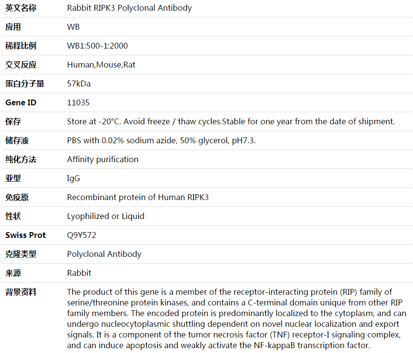 RIPK3 Antibody,索莱宝,K003990P-50ul