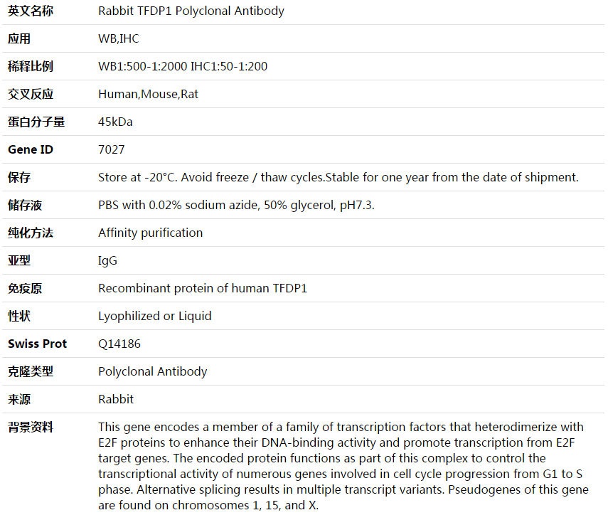 TFDP1 Antibody,索莱宝,K003988P-100ul