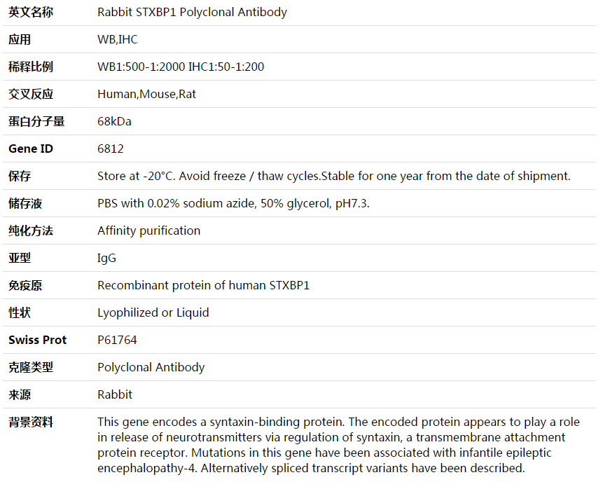 STXBP1 Antibody,索莱宝,K003987P-100ul