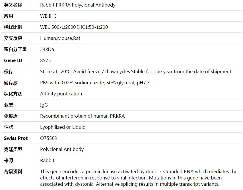 PRKRA Antibody,索莱宝,K003985P-100ul