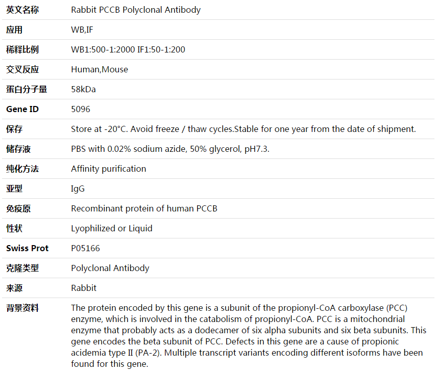 PCCB Antibody,索莱宝,K003983P-30ul