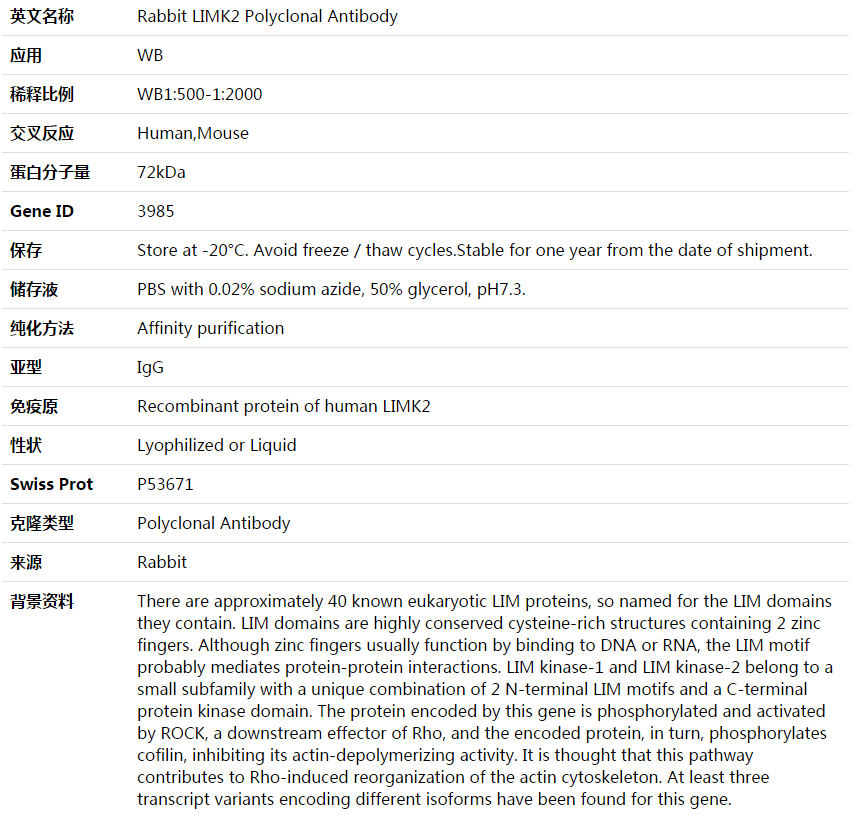 LIMK2 Antibody,索莱宝,K003977P-50ul