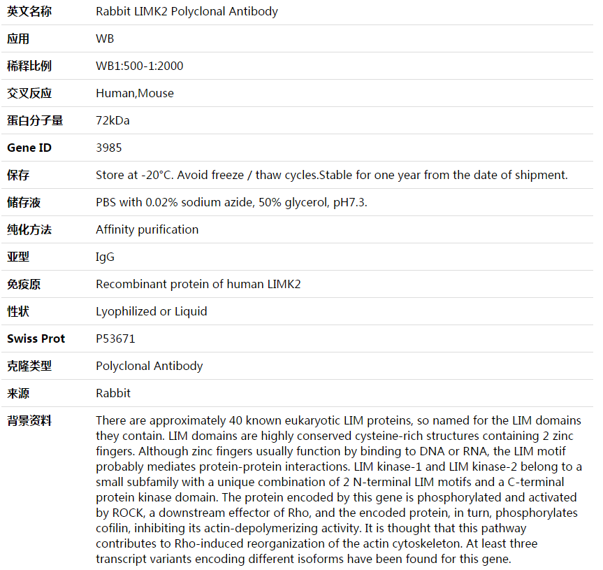 LIMK2 Antibody,索莱宝,K003977P-100ul