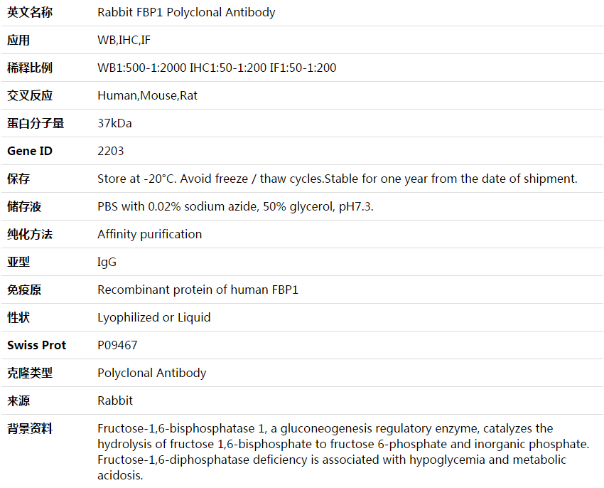 FBP1 Antibody,索莱宝,K003975P-100ul