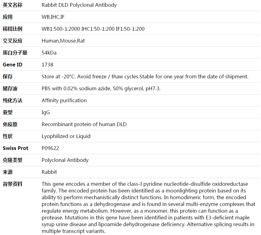DLD Antibody,索莱宝,K003972P-30ul
