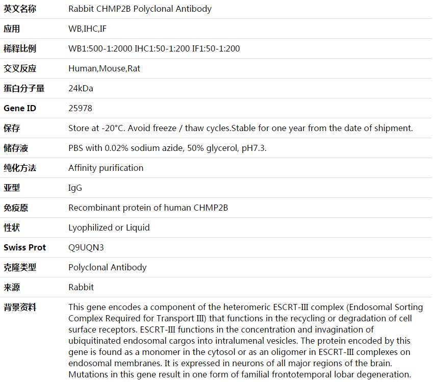 CHMP2B Antibody,索莱宝,K003968P-100ul