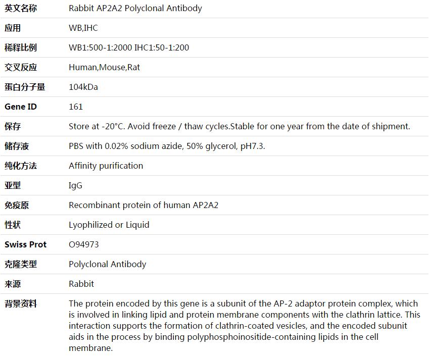 AP2A2 Antibody,索莱宝,K003965P-100ul