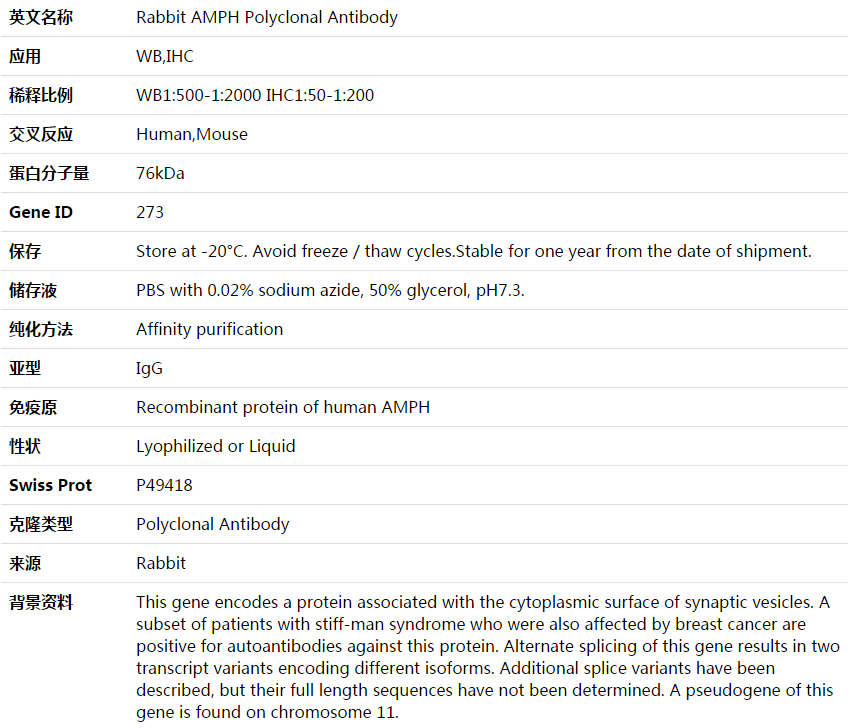 AMPH Antibody,索莱宝,K003963P-50ul