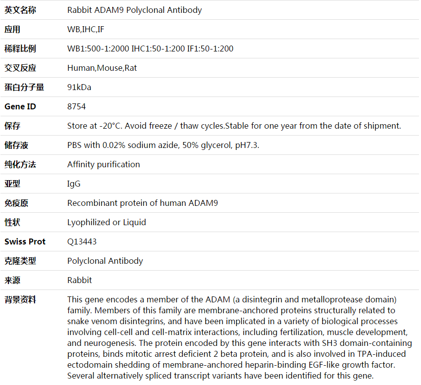 ADAM9 Antibody,索莱宝,K003962P-100ul