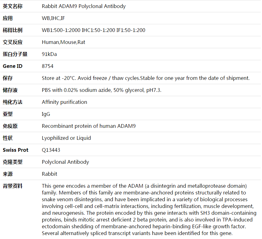 ADAM9 Antibody,索莱宝,K003962P-50ul