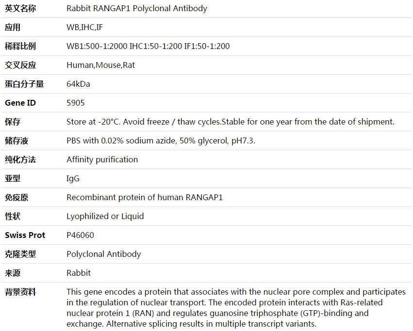 RANGAP1 Antibody,索莱宝,K003957P-30ul