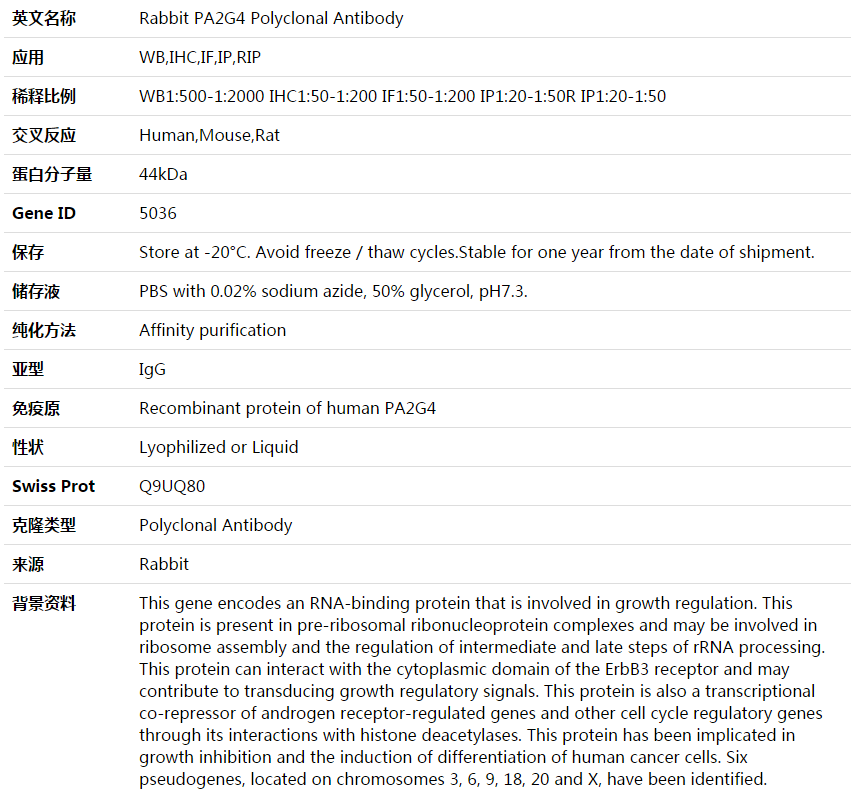 PA2G4 Antibody,索莱宝,K003953P-50ul