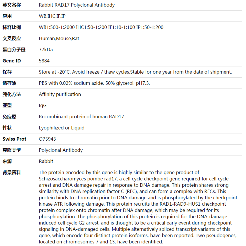 RAD17 Antibody,索莱宝,K003938P-30ul