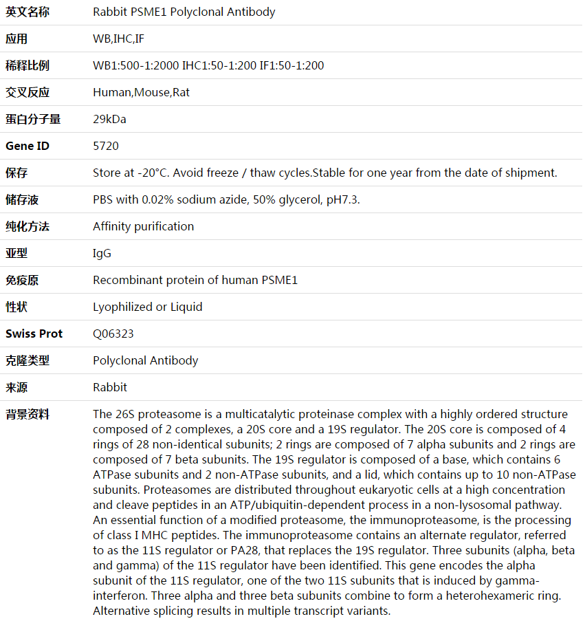 PSME1 Antibody,索莱宝,K003937P-50ul