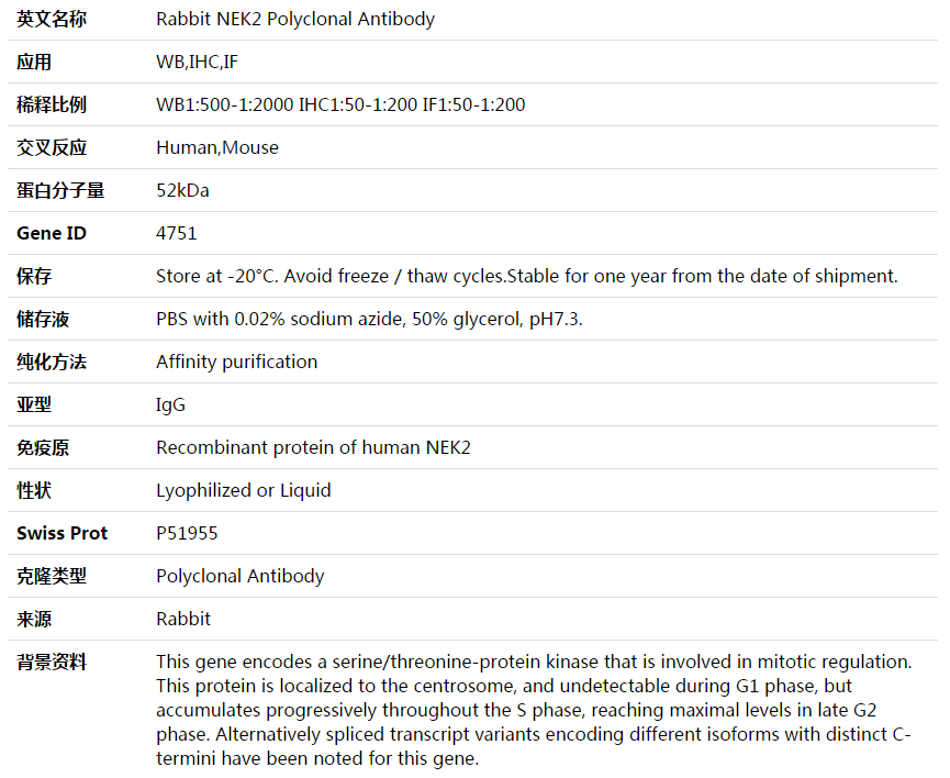 NEK2 Antibody,索莱宝,K003934P-50ul