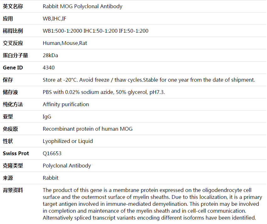 MOG Antibody,索莱宝,K003932P-30ul