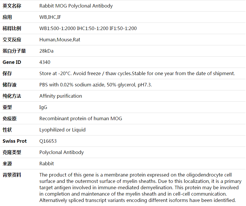 MOG Antibody,索莱宝,K003932P-50ul